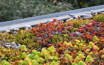 the cost of Seafar green roof installation